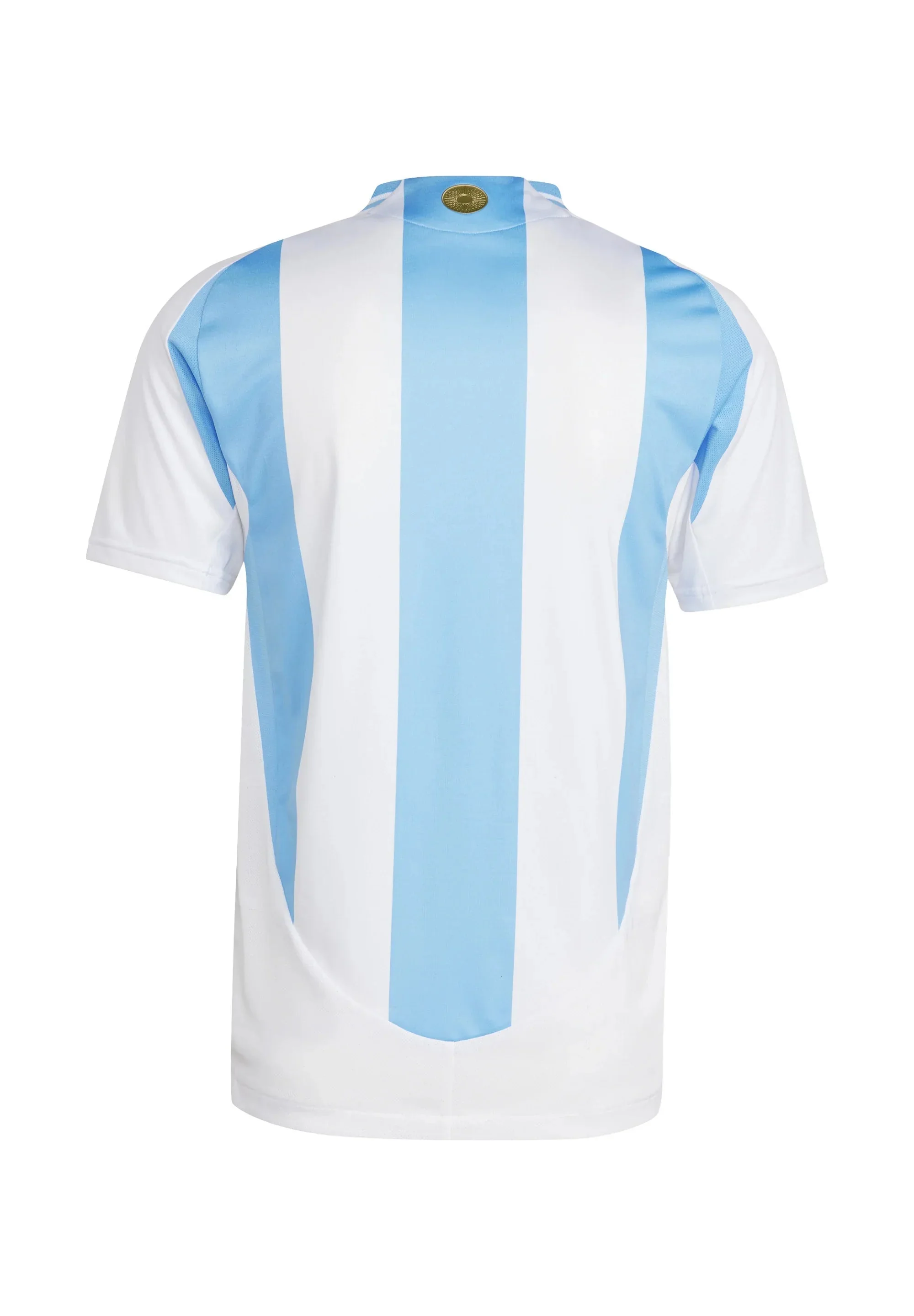 2024/2025 Argentina home kit - Image 2