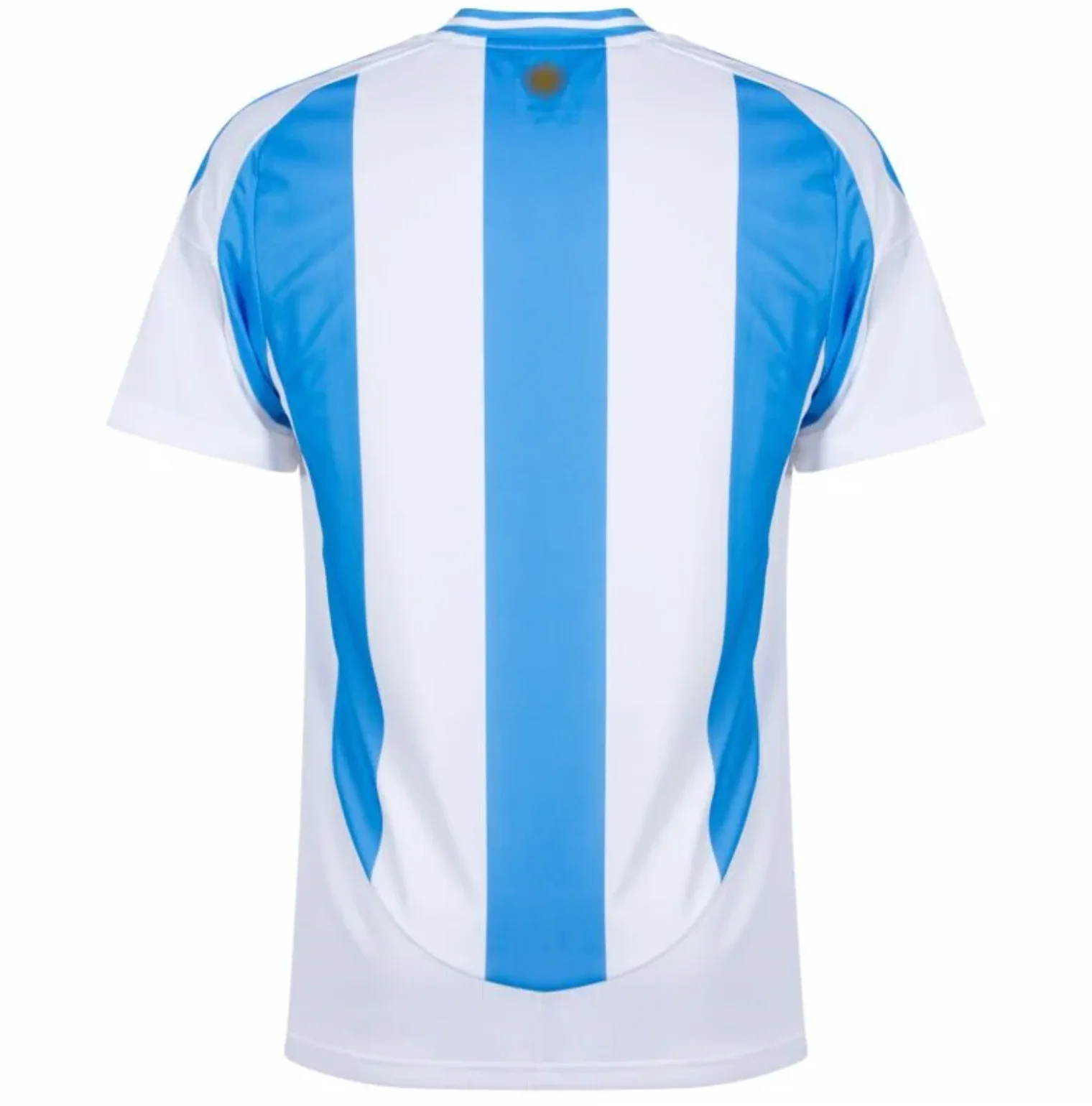 2024/2025 Argentina home kit - Image 4