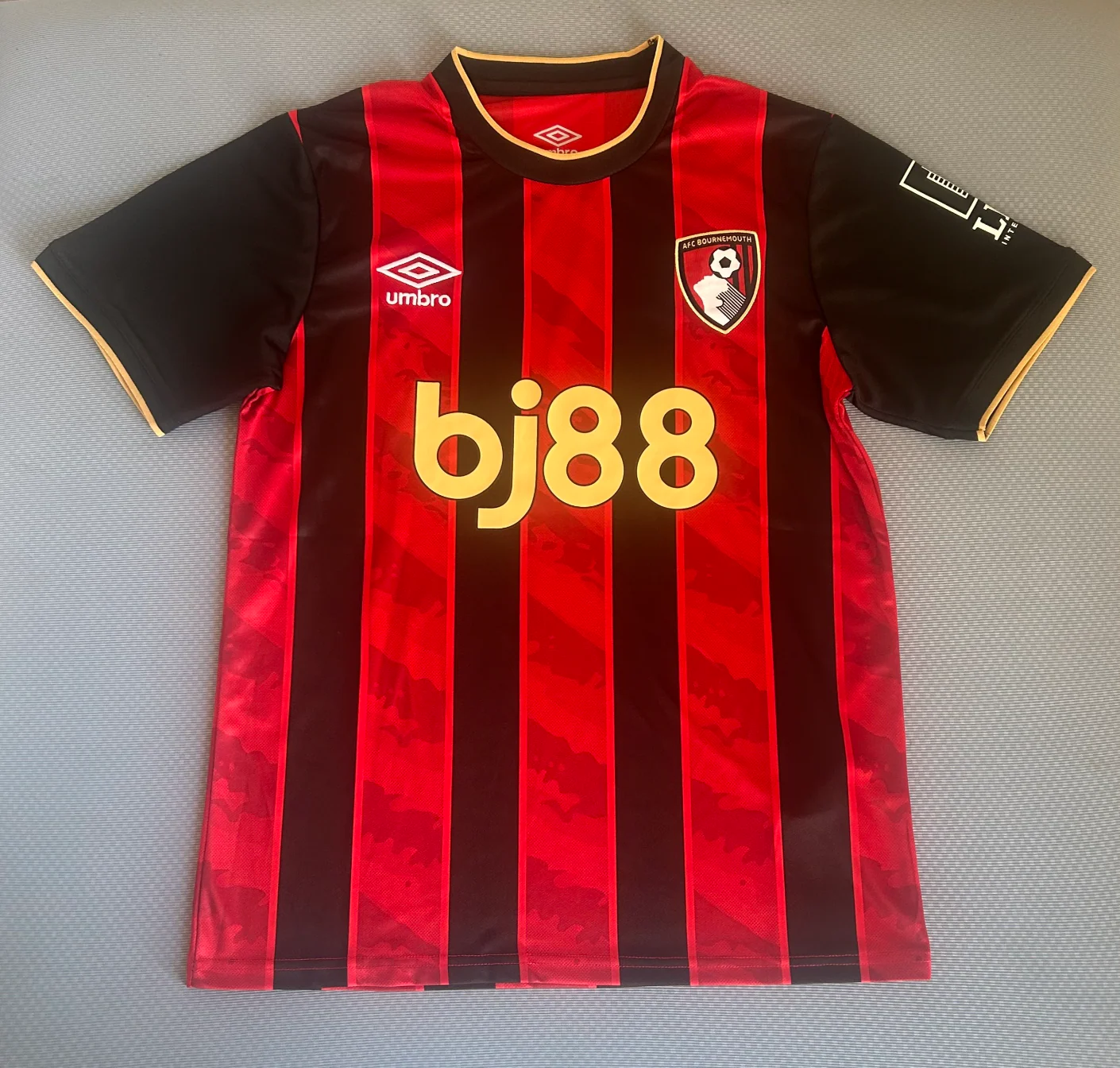 AFC Bournemouth 2025/2026 Jersey - Image 2
