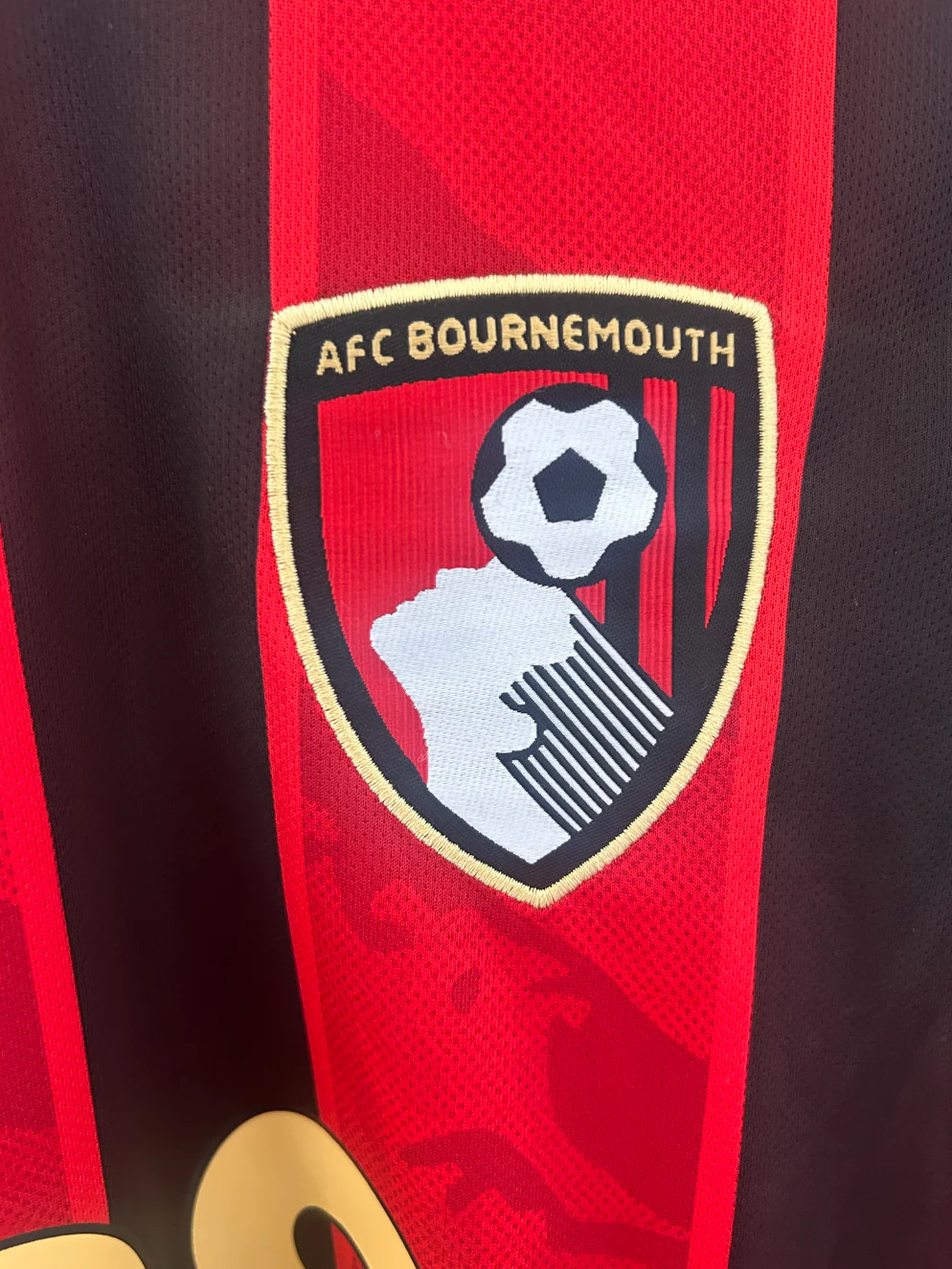 AFC Bournemouth 2025/2026 Jersey - Image 5