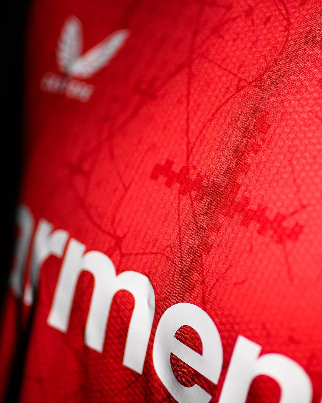 Bayer Leverkusen Home Jersey 2024/25 - Image 4